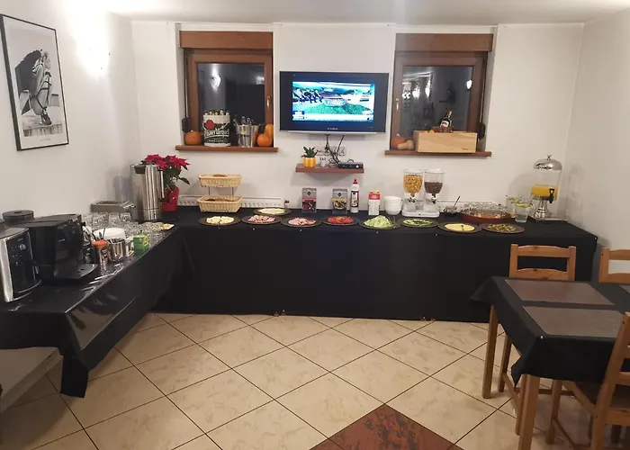 Bed & Breakfast Ventana Free Parking Sniadanie W Cenie Poznań